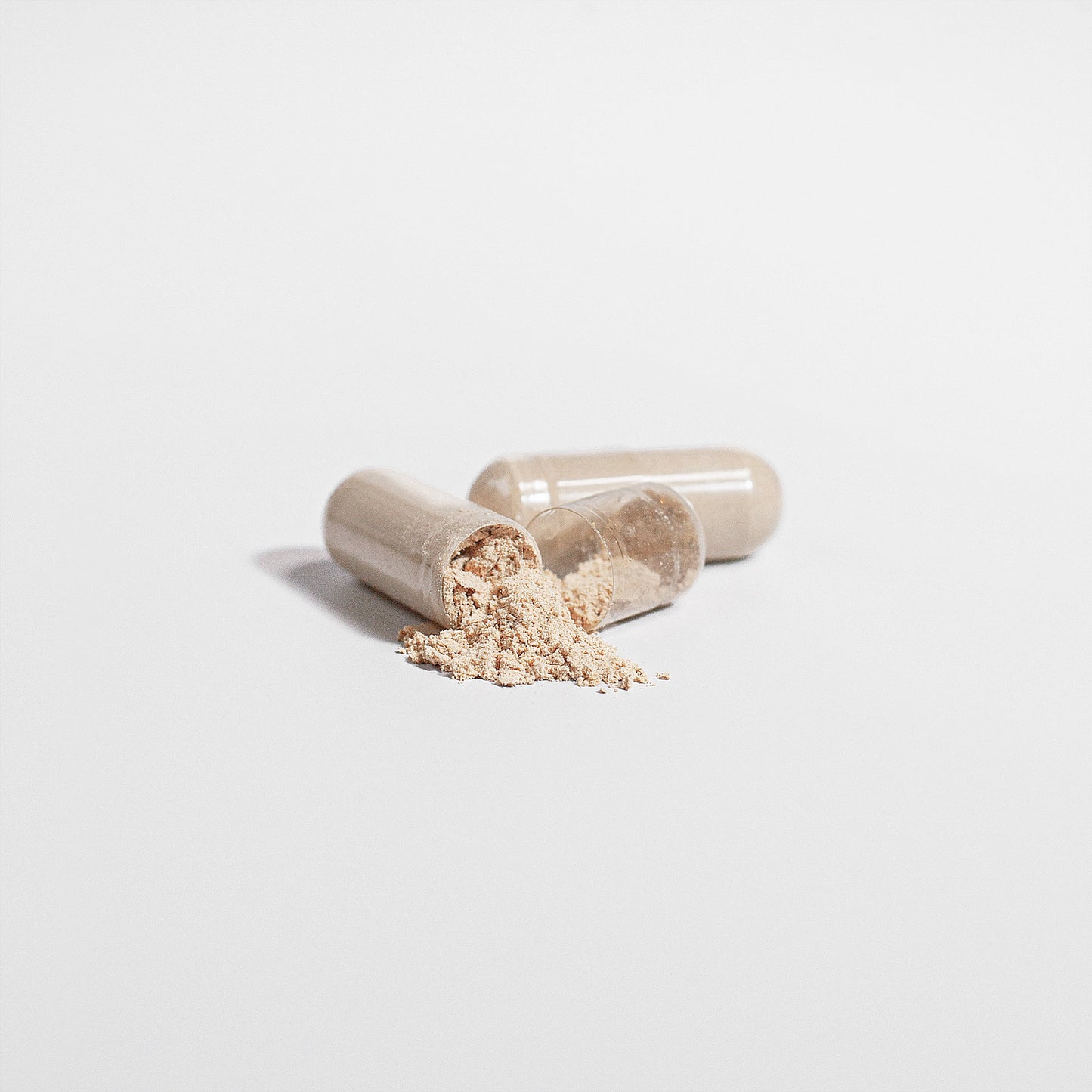 Immunity - Cordyceps Mushroom